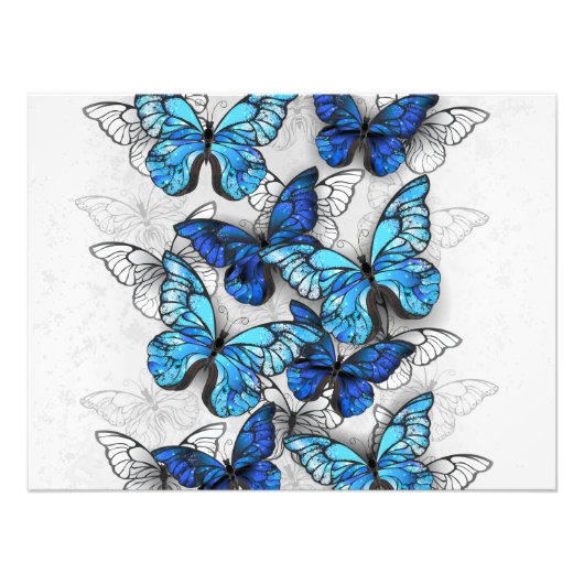 Impression Photo Composition de papillons blancs et bleus (Devant)