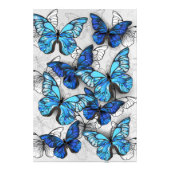 Impression Photo Composition des White and Blue Butterflies (Devant)