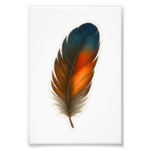 Conception colorée en plumes