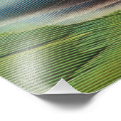 Impression Photo conception de motif de plume de perroquet (Coin)