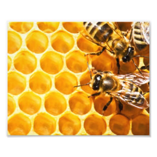 Impression Photo Conception de motif en nid d'abeilles et abeilles (Devant)