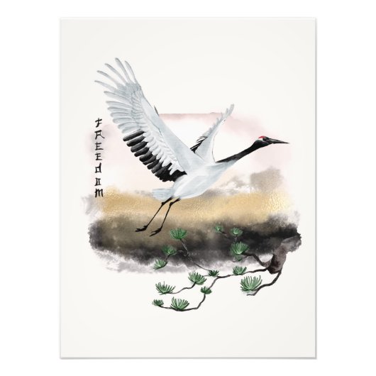 Impression Photo Conception Okinawa Series 12 (Devant)