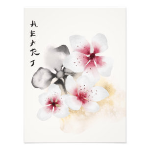 Impression Photo Conception Okinawa Series 13