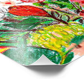 Impression Photo Concombre (Coin)