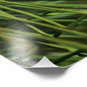 Impression Photo Cône de pin gros (Coin)