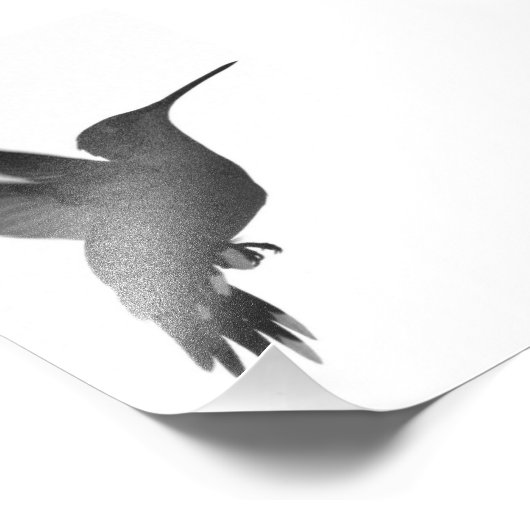 Impression Photo Congelé dans le temps (Coin)