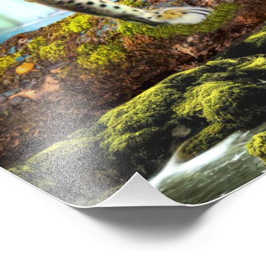 IMPRESSION PHOTO CONGO LEOPARD (Coin)