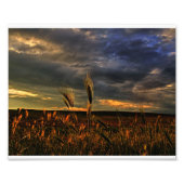 Impression Photo Conversation avec le vent (Devant)