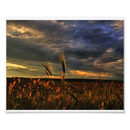 Impression Photo Conversation avec le vent (Devant)