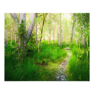 Impression Photo Convict Lake Aspen Wall Art Sierra orientale