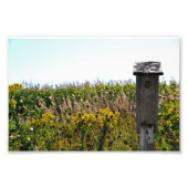 Impression Photo Coop de fleurs (Devant)