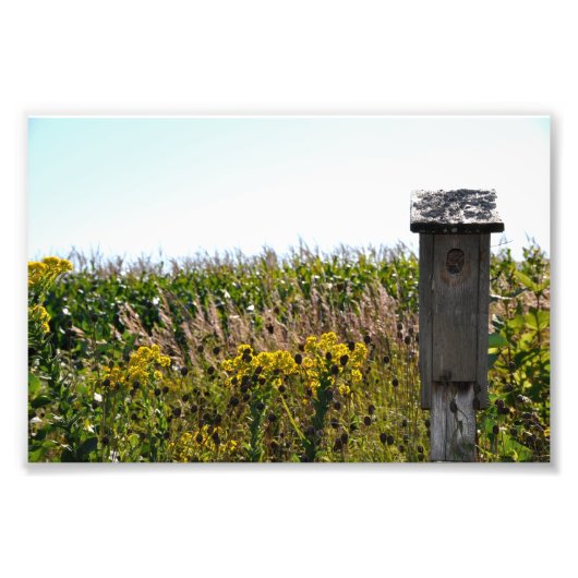 Impression Photo Coop de fleurs (Devant)