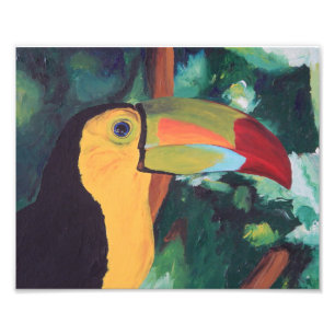 Impression Photo Copie d'art : Toucan