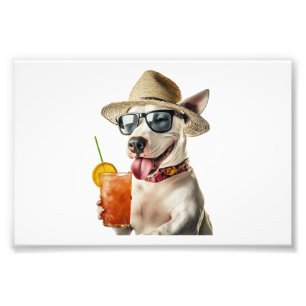 Impression Photo Copie de Bull Terrier