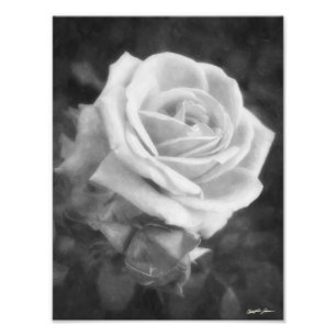 Impression Photo Copie monochrome de rose de lumière