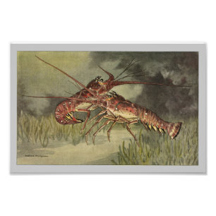 Impression Photo Copie vintage d'écrevisses ou de langouste