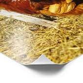 Impression Photo Coq Rhode Island Red (Coin)