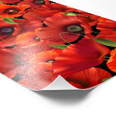 Impression Photo Coquelicot (Coin)