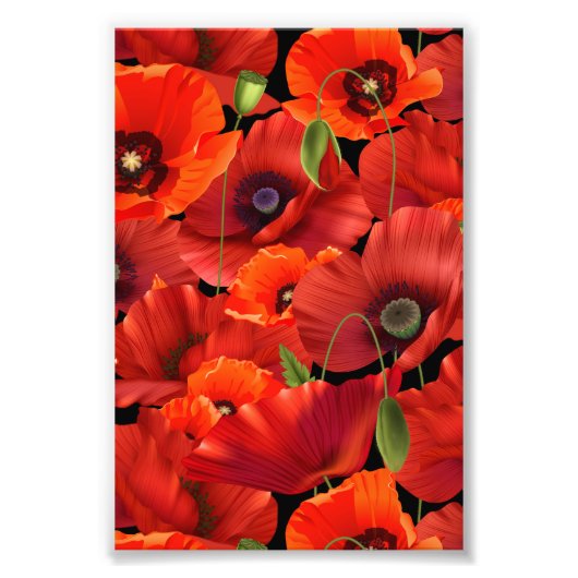Impression Photo Coquelicot (Devant)