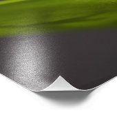 Impression Photo Coqui commun, Eleutherodactylus coqui (Coin)