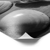 Impression Photo Coquillages (Coin)