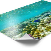 Impression Photo Corail Reef (Coin)