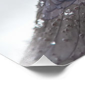 Impression Photo Corbeau en neige (Coin)