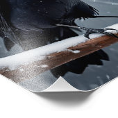 Impression Photo Corbeau noir foncé (Coin)