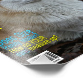 Impression Photo Corgi Nation Magazine (impression personnalisable) (Coin)