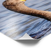 Impression Photo Cormoran avec un poisson (Coin)