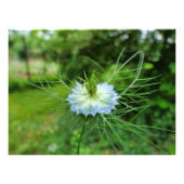 Impression Photo Corne (Devant)