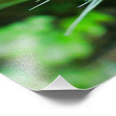 Impression Photo Corne (Coin)