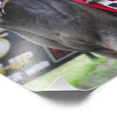 Impression Photo Cornelio Velasquez (Coin)