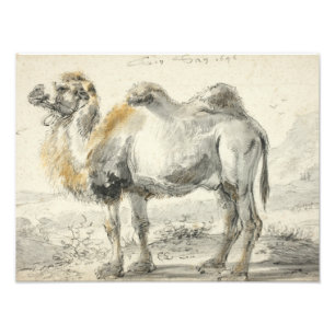 Impression Photo Cornelis Saftleven - Un chameau