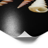 Impression Photo Cornes marines (Coin)