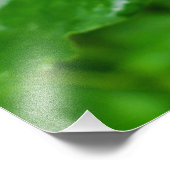 Impression Photo Cornus sanguinea (Coin)