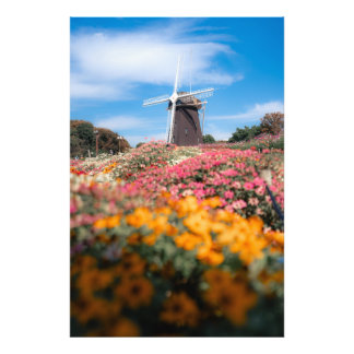 Impression Photo Cosmos and windmills