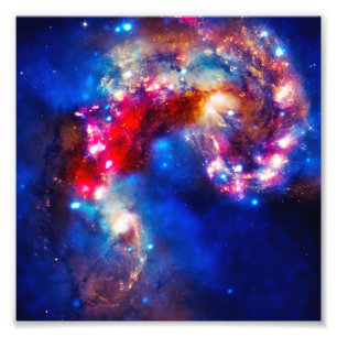 Impression Photo Cosmos Coloré