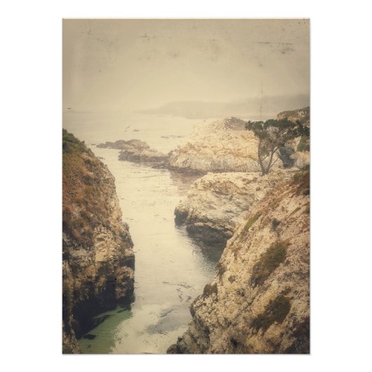 Impression Photo Côte de Point Lobos (Devant)