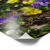 Impression Photo Coteau de panneaux violets et jaunes (Coin)