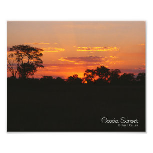 Impression Photo Coucher de soleil Acacia