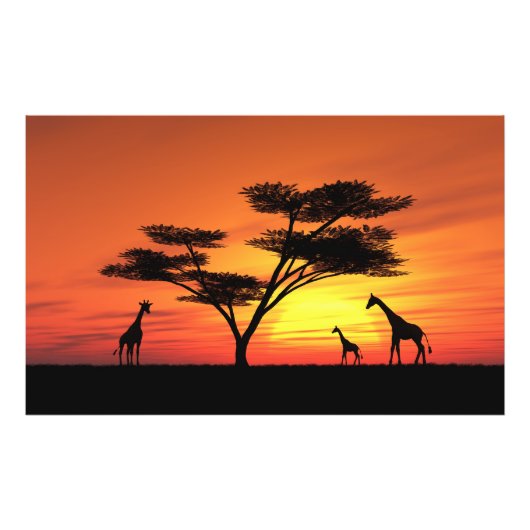 Impression Photo Coucher de soleil africain (Devant)
