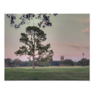 Impression Photo Coucher de soleil d'Audubon Park