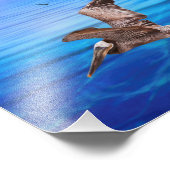 Impression Photo Coucher de soleil de l'île de Pélican Flyby (Coin)