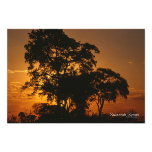 Impression Photo Coucher de soleil de Savannah