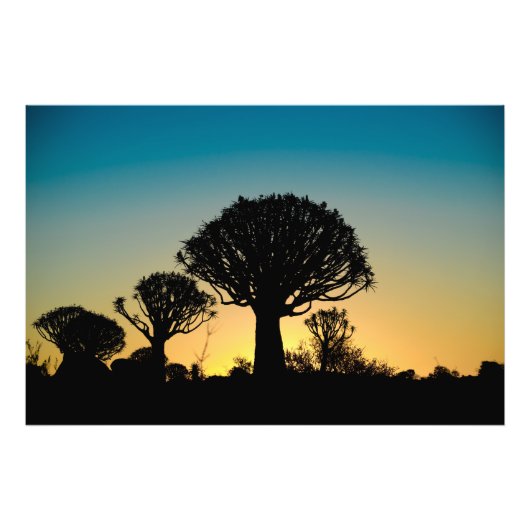 Impression Photo Coucher de soleil derrière la forêt de l'arbre car (Devant)