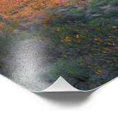 Impression Photo Coucher de soleil du parc national du Saguaro (Coin)