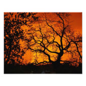 Impression Photo Coucher de soleil orange (Devant)