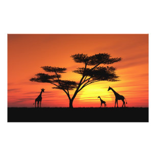 Impression Photo Coucher du soleil africain