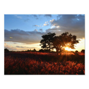 Impression Photo Coucher du soleil africain spectaculaire